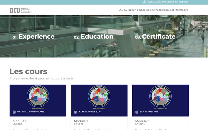 Aperçu du site DIU Européen d&rsquo;Oncologie Gynécologique