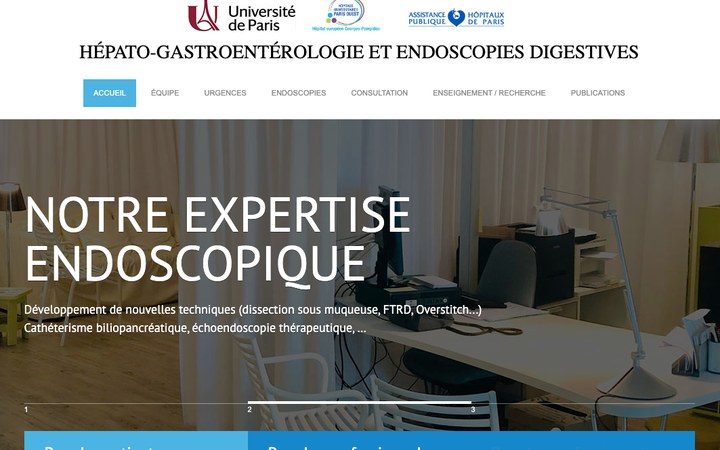 Aperçu du site Service Pr Cellier — HEGP